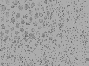 Light gray terrazzo living room floor texture (ID:ffaeh748376)
