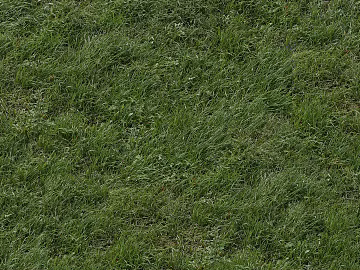 Turf texture (ID:ffacg73710)