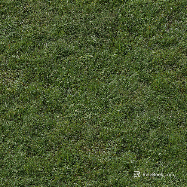 Turf texture