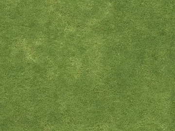 Grassland texture (ID:ffajg58896)