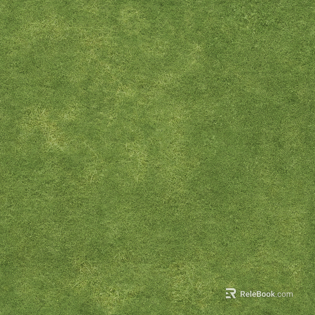 Grassland texture