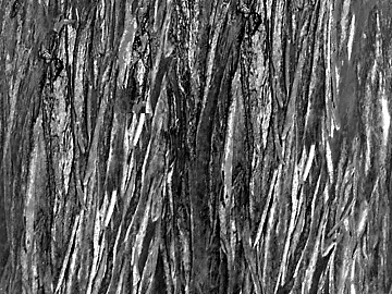 Black and White Bump texture (ID:ffacg47448)