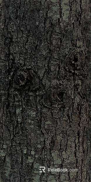 New Chinese Pine Bark texture