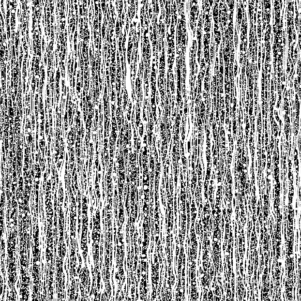 Black and White Bump texture