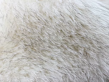 animal skin texture (ID:ffaag30617)