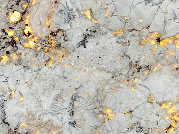 Peacock Open Screen Transparent Rock Plate texture (ID:ffach510491)