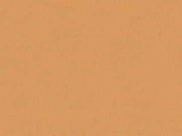 plain cloth texture (ID:ffacg81645)