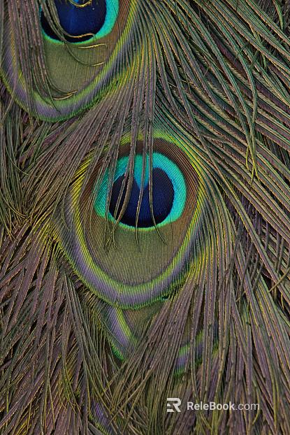 animal fur texture