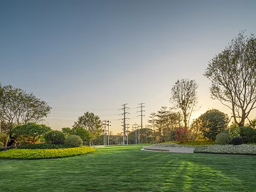 Wild Scenery texture (ID:ffach010161)