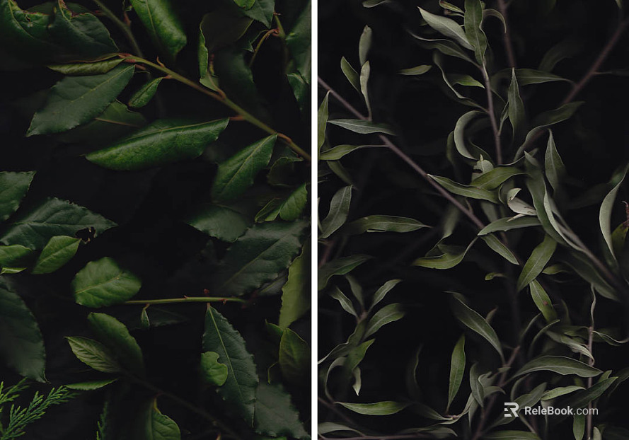 Plant painting texture