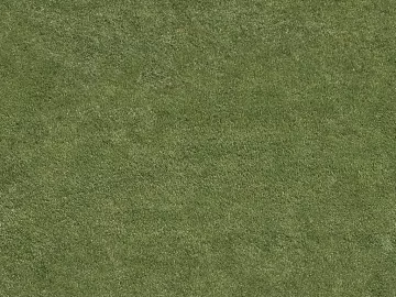 Turf texture (ID:ffach616260)