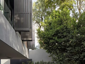 Courtyard Exterior texture (ID:ffajg02654)