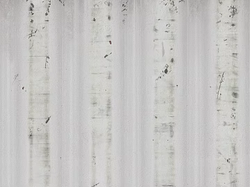 White birch textured wall finish (ID:ffaeh120676)