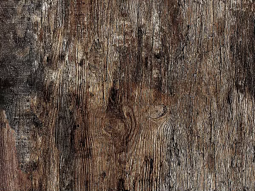 bark texture (ID:ffaef5209)