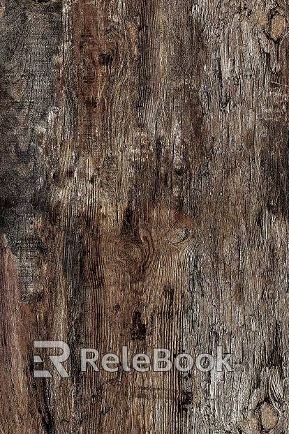 bark texture