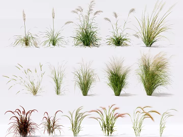 Plants texture (ID:ffaaf2497)
