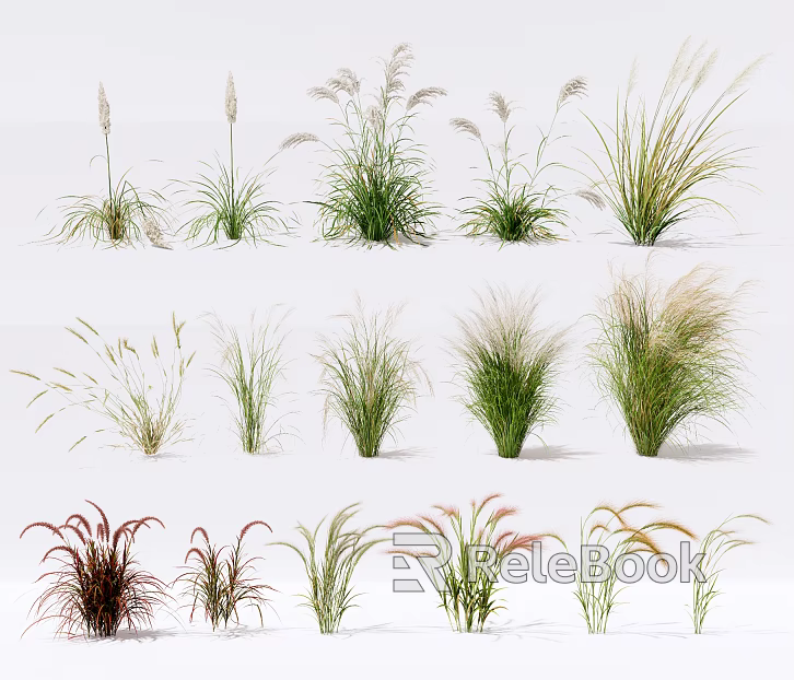 Plants texture