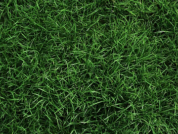 Turf texture (ID:ffagg20154)