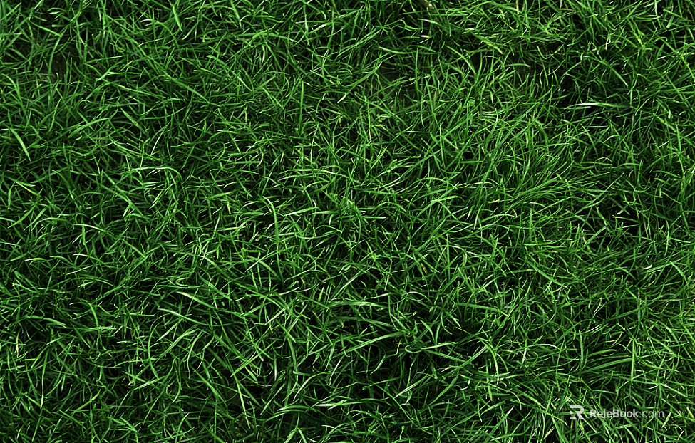 Turf texture