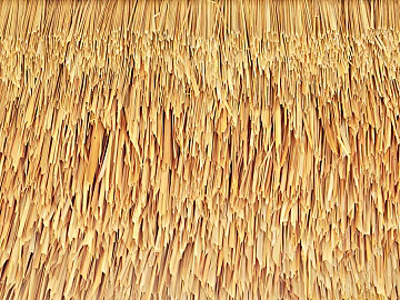 Thatch texture (ID:ffach323363)