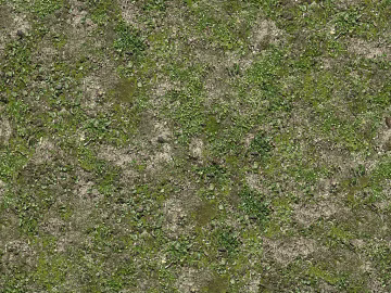 Grassland texture (ID:ffacg29757)