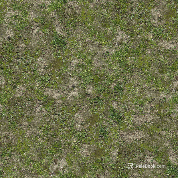 Grassland texture