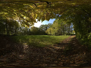 Wild Forest Daytime HDR texture (ID:ffabg26181)