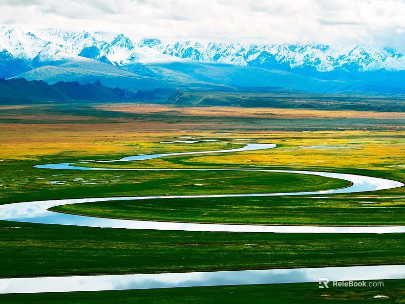 Wild Scenery texture