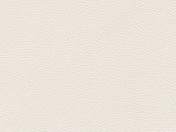 Coarse-grain leather texture (ID:ffach669151)