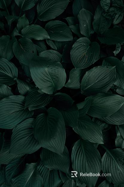 plant pattern texture