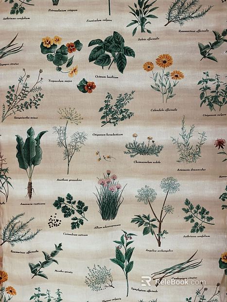 Pattern Cloth texture