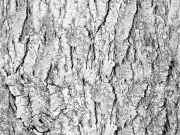 Black and White Bump texture (ID:ffacg81526)
