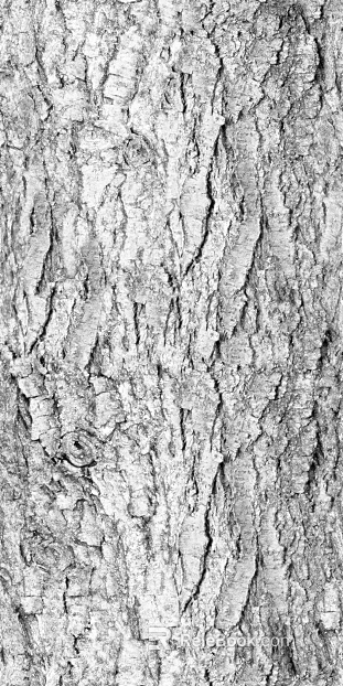 Black and White Bump texture