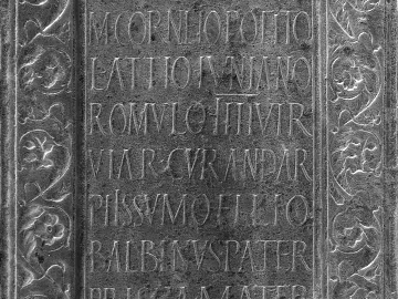 relief texture (ID:ffaeg47231)