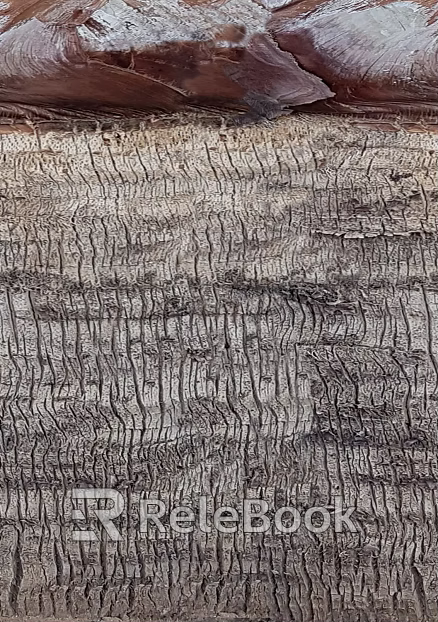bark texture