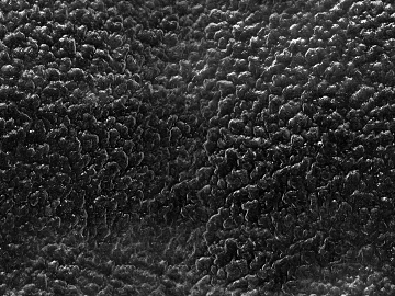 Black and White Bump texture (ID:ffacg18826)