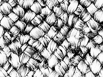 Black and White Bump texture (ID:ffacg76616)