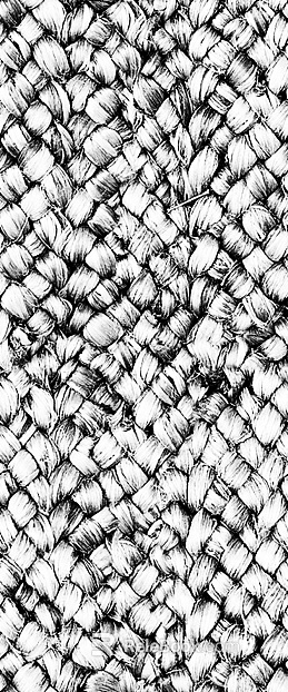 Black and White Bump texture