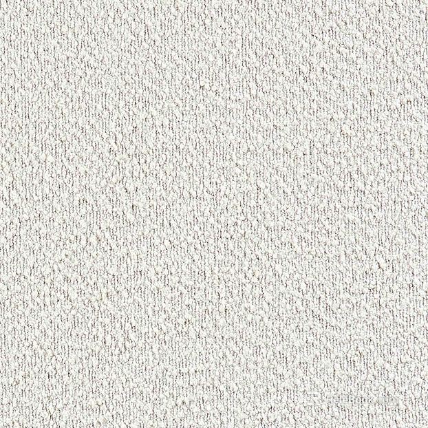 Off-white Texture Paint Wall Coating texture