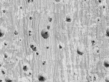 bark texture (ID:ffacg68728)