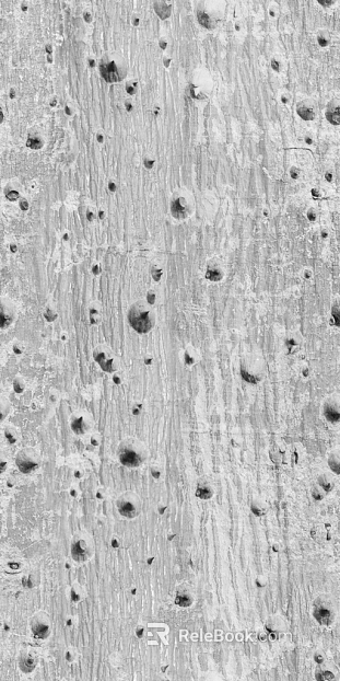 bark texture