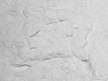 Concrete creamy-white rough ground texture (ID:ffajg83160)