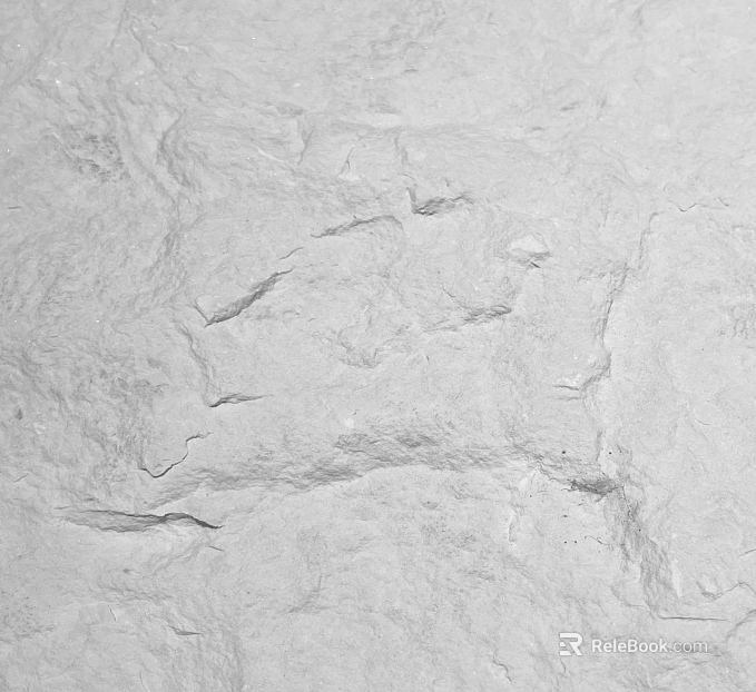 Concrete creamy-white rough ground texture