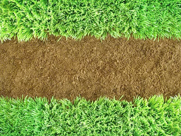 Turf 3d model