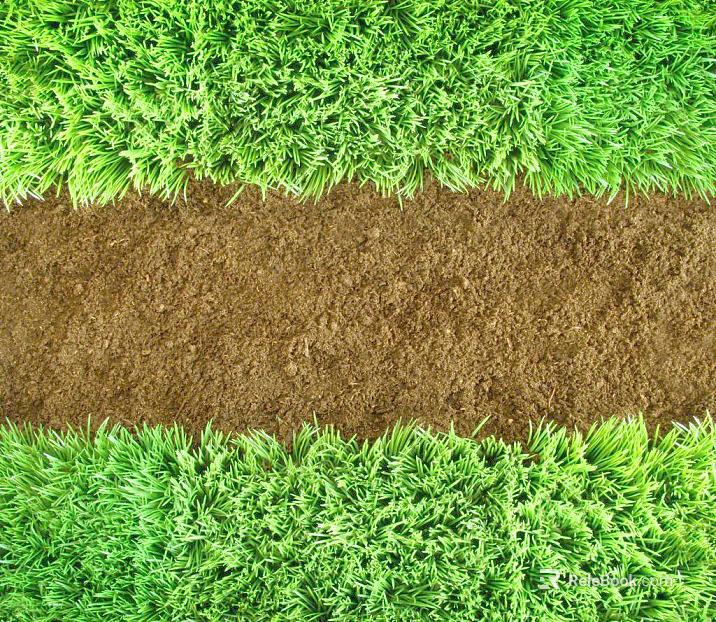 Turf texture