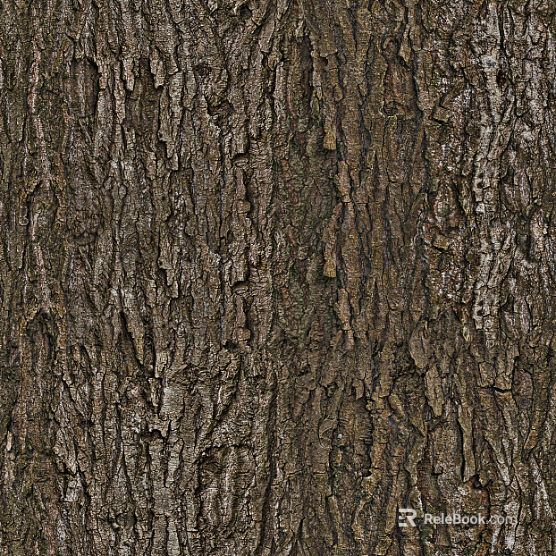 bark texture