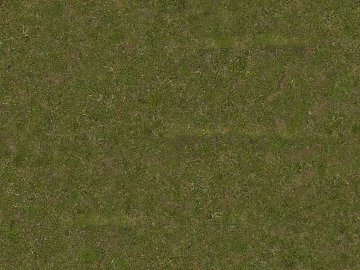 Turf 3d model