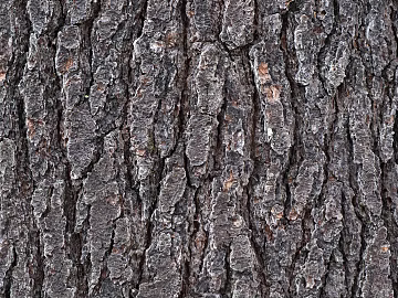 bark texture (ID:ffajg07289)