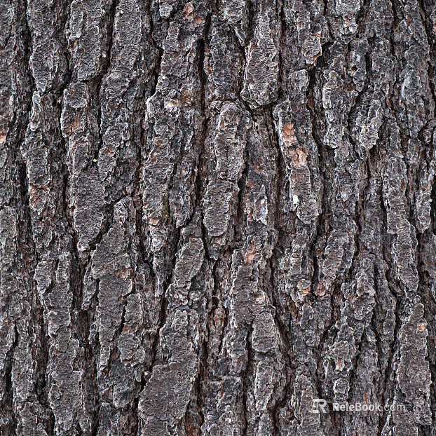 bark texture