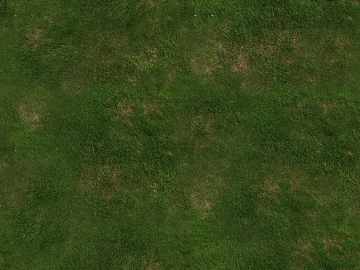 Turf texture (ID:ffaag43731)